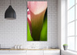 Tableaux personnalisés  Fleur De Calla