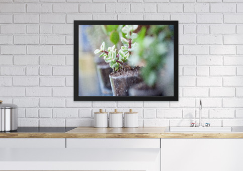 Tableaux personnalisés  Fleurs printanià¨res