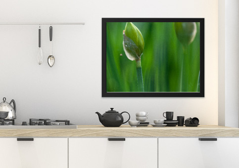 Tableaux personnalisés  Narcisses