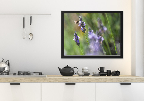 Tableaux personnalisés  Les fleurs de la lavande