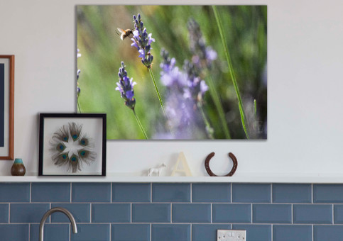 Tableaux personnalisés  Les fleurs de la lavande