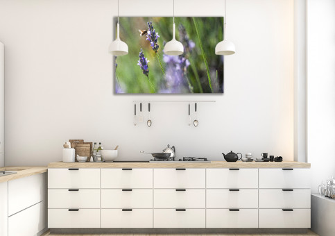 Tableaux personnalisés  Les fleurs de la lavande