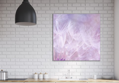 Tableaux personnalisés  Pissenlit violet