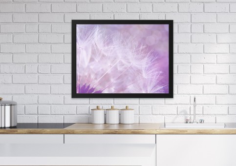  Purple dandelion