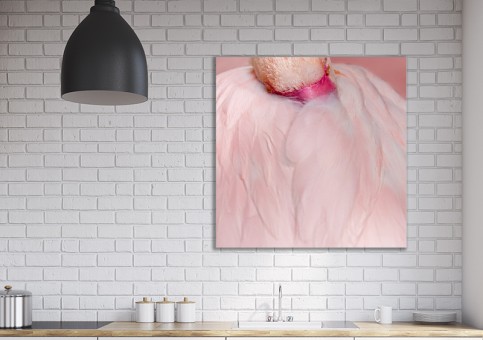 Tableaux personnalisés  Flamant rose