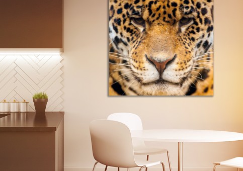 Tableaux personnalisés  Portrait Léopard