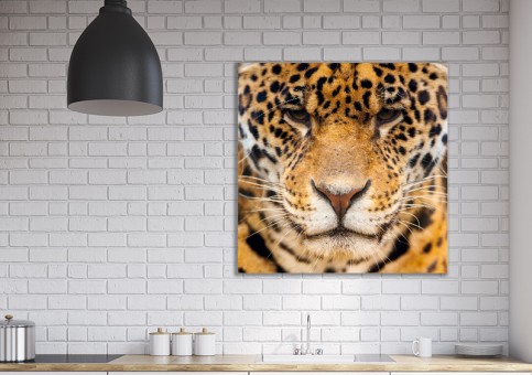 Tableaux personnalisés  Portrait Léopard