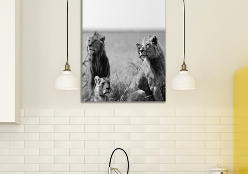 Tableaux personnalisés  Bande de lions