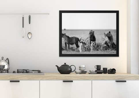 Tableaux personnalisés  Bande de lions