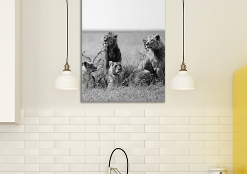 Tableaux personnalisés  Bande de lions