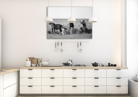 Tableaux personnalisés  Bande de lions