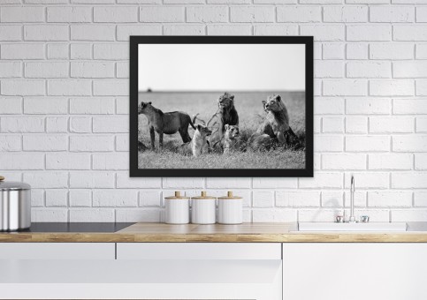 Tableaux personnalisés  Bande de lions