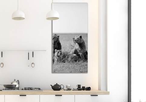 Tableaux personnalisés  Bande de lions