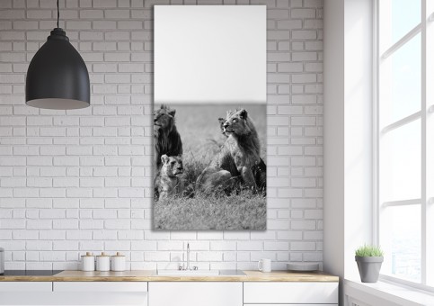 Tableaux personnalisés  Bande de lions