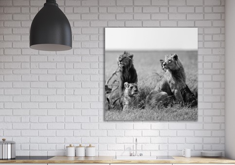 Tableaux personnalisés  Bande de lions