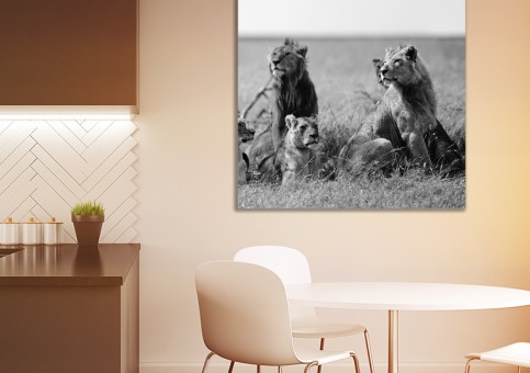 Tableaux personnalisés  Bande de lions
