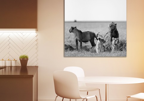 Tableaux personnalisés  Bande de lions