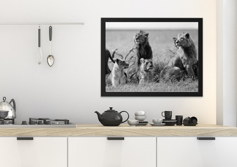 Tableaux personnalisés  Bande de lions