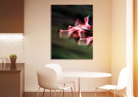 Tableaux personnalisés  Vol de flamands