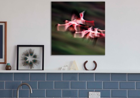 Tableaux personnalisés  Vol de flamands