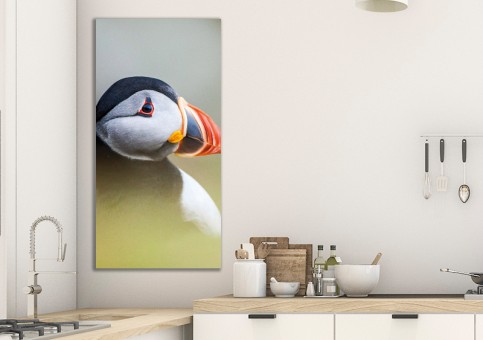 Tableaux personnalisés  Portrait de macareux