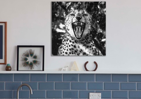Tableaux personnalisés  Portrait de Guépard 