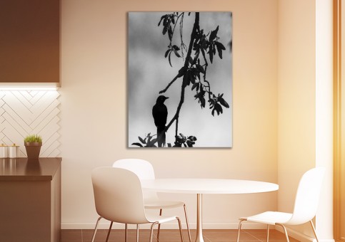 Tableaux personnalisés  Etourneau