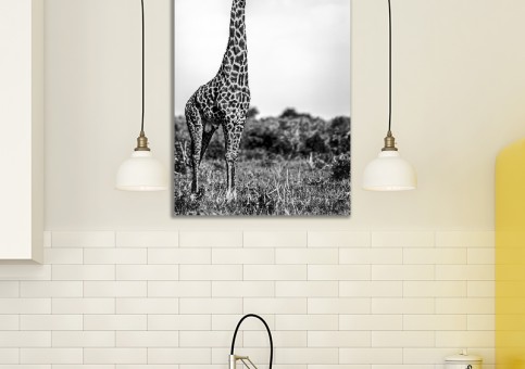 Tableaux personnalisés  Girafe