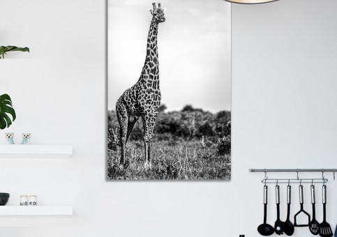 Tableaux personnalisés  Girafe