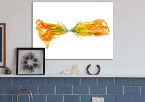 Tableaux personnalisés  Fleurs de courgette