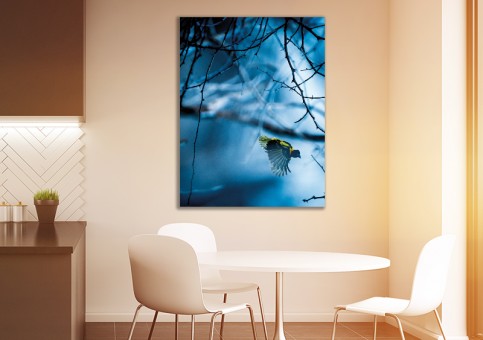 Tableaux personnalisés  Oiseau Tisserin