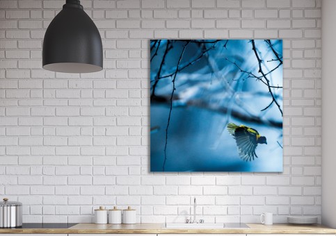 Tableaux personnalisés  Oiseau Tisserin