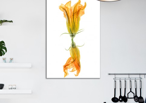 Tableaux personnalisés  Duo de fleurs de courgette