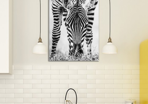 Tableaux personnalisés  portrait de zà¨bre