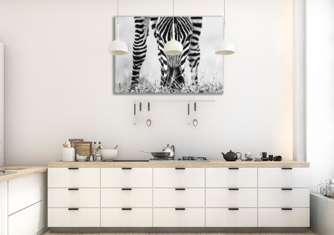 Tableaux personnalisés  portrait de zà¨bre