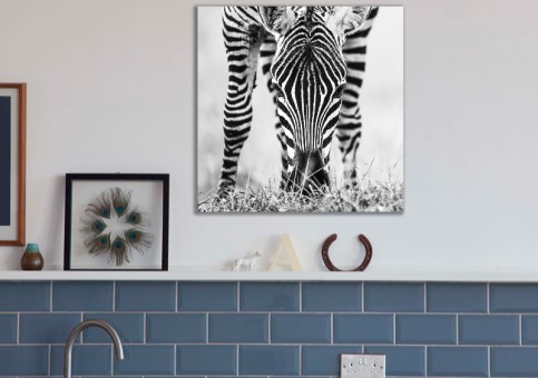 Tableaux personnalisés  portrait de zà¨bre