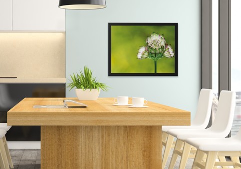 Tableaux personnalisés  Fleur 