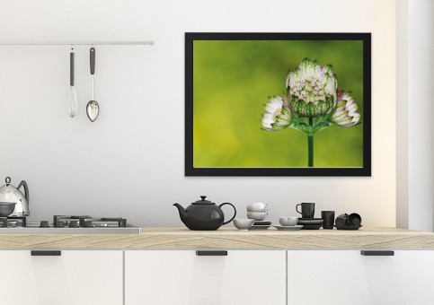 Tableaux personnalisés  Fleur 