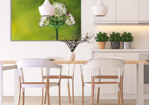 Tableaux personnalisés  Fleur 