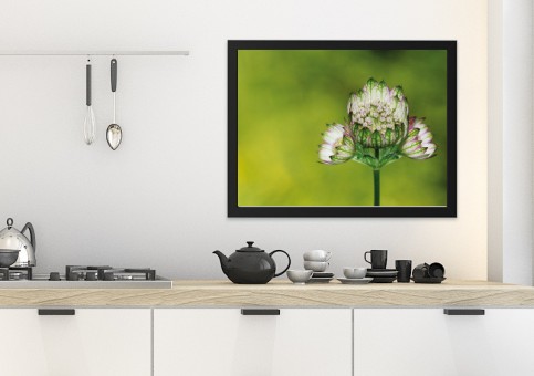Tableaux personnalisés  Fleur 