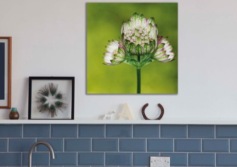 Tableaux personnalisés  Fleur