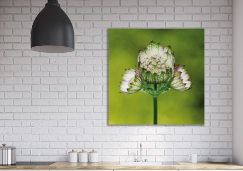 Tableaux personnalisés  Fleur 