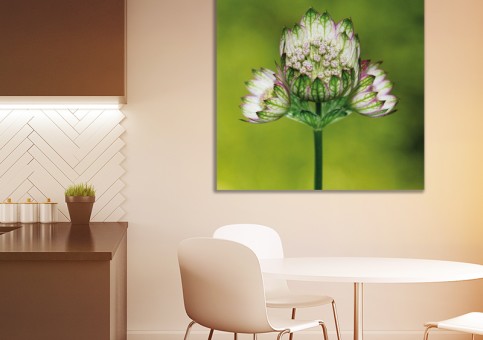 Tableaux personnalisés  Fleur 