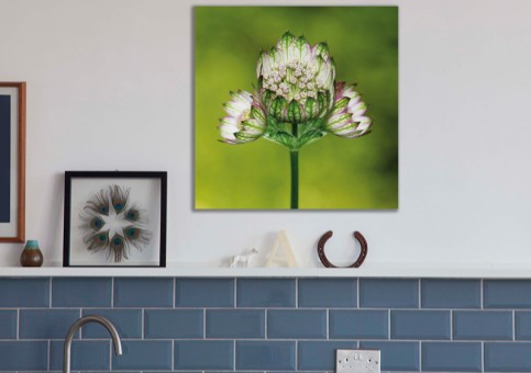 Tableaux personnalisés  Fleur 