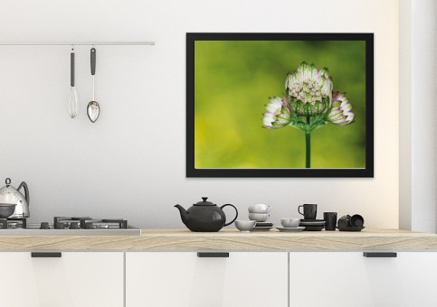 Tableaux personnalisés  Fleur 