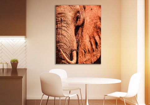 Tableaux personnalisés  Portrait éléphant 2