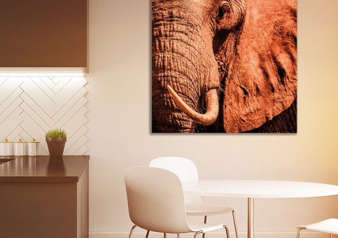 Tableaux personnalisés  Portrait éléphant 2