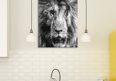 Tableaux personnalisés  Portrait lion