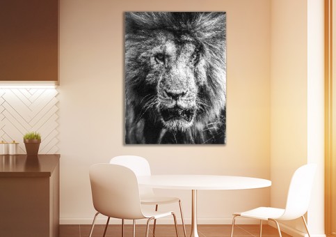 Tableaux personnalisés  Portrait lion