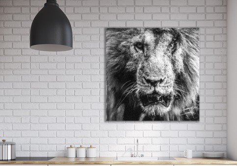 Tableaux personnalisés  Portrait lion